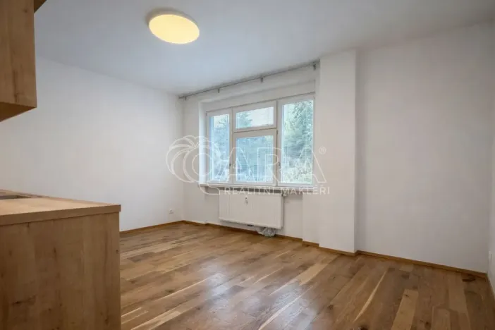 Pronájem bytu 1+kk, Praha - Vršovice, Ruská, 26 m2