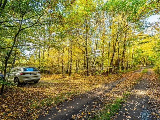 Prodej pozemku pro bydlení, Nové Dvory - Krámy, 3271 m2