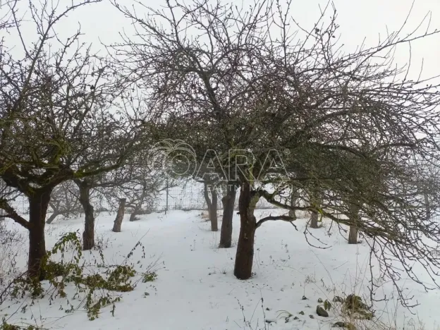 Prodej chaty, Praha, Zálužská, 16 m2