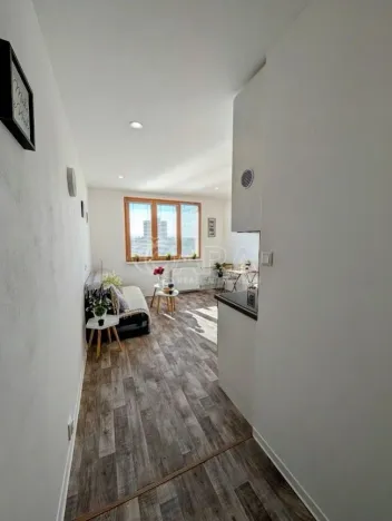 Prodej bytu 1+kk, Plzeň - Doudlevce, Šimerova, 21 m2