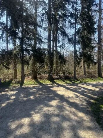 Prodej chaty, Libeř, 44 m2