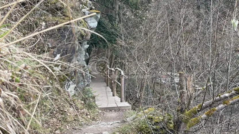 Prodej chaty, Štěchovice, 40 m2