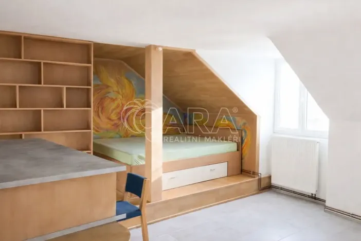 Pronájem bytu 1+kk, Praha - Nové Město, Školská, 30 m2