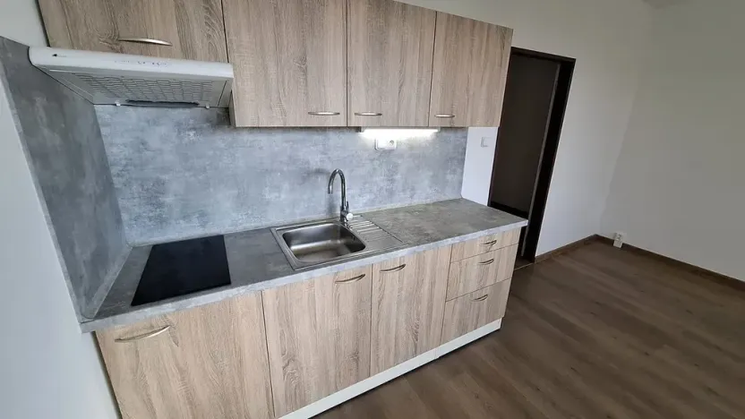 Pronájem bytu 1+kk, Plzeň, Sokolovská, 30 m2