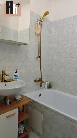 Prodej činžovního domu, Ostrava, Olešní, 2095 m2