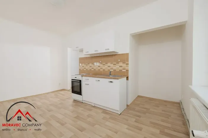 Pronájem bytu 1+1, Ostrava, Palackého, 45 m2