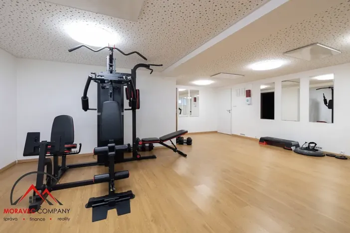 Pronájem apartmánu, Ostrava, Cihelní, 27 m2