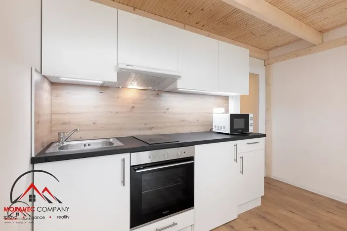 Pronájem bytu 1+kk, Ostrava, Palackého, 29 m2