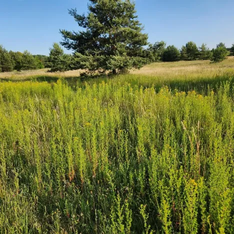 Prodej chaty, Ralsko - Kuřívody, 40 m2