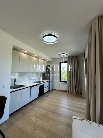 Pronájem bytu 2+kk, Praha - Karlín, Sokolova, 65 m2