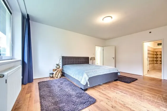 Pronájem rodinného domu, Dolní Břežany, V Úvozu, 380 m2