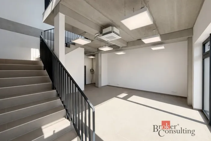 Pronájem obchodního prostoru, Brno, Vinohradská, 444 m2