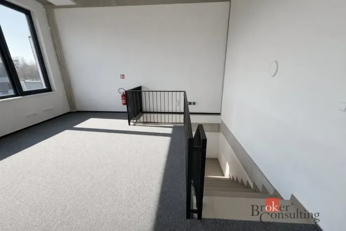 Pronájem obchodního prostoru, Brno, Vinohradská, 444 m2