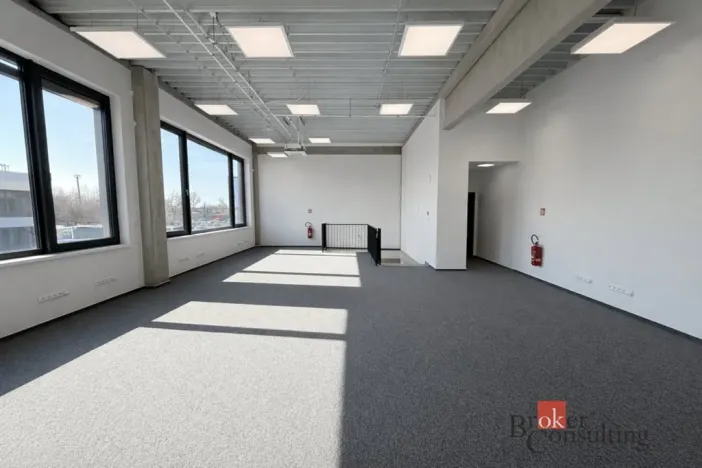 Pronájem obchodního prostoru, Brno, Vinohradská, 444 m2