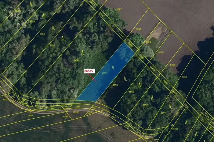 Dražba lesa, Přísnotice, 968 m2