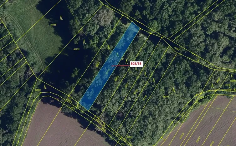 Dražba lesa, Přísnotice, 1135 m2