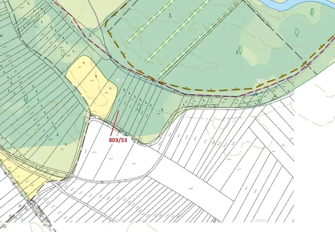 Dražba lesa, Přísnotice, 1135 m2