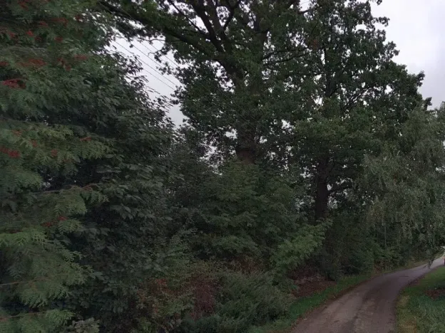 Dražba pozemku, Dolany, 1627 m2