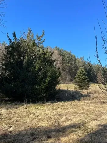 Prodej pozemku pro bydlení, Všelibice, 5083 m2