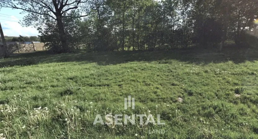 Prodej pozemku, Orlová - Poruba, Závodní, 12324 m2