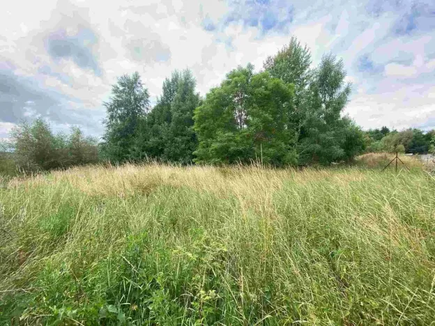 Prodej pozemku, Aš, 2675 m2