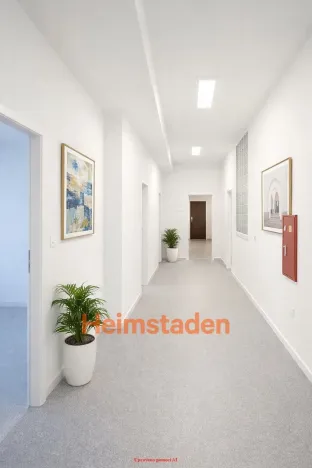 Pronájem kanceláře, Havířov - Město, Jana Švermy, 54 m2