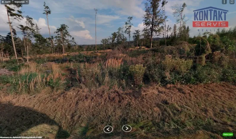 Prodej lesa, Blízkov, 31695 m2