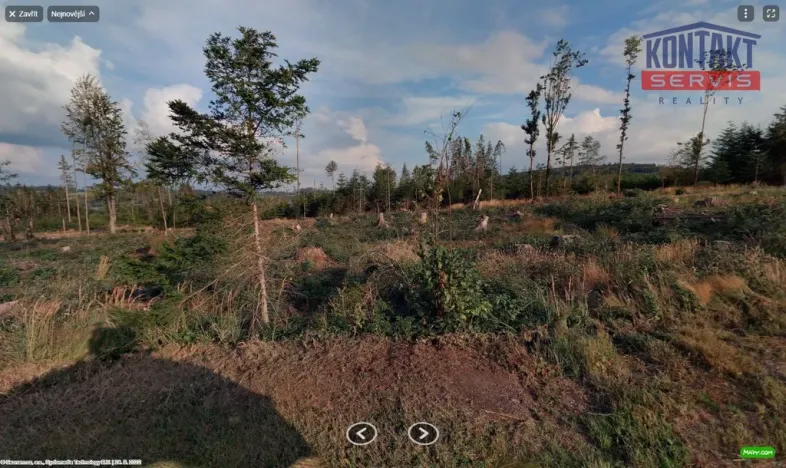 Prodej lesa, Blízkov, 31695 m2