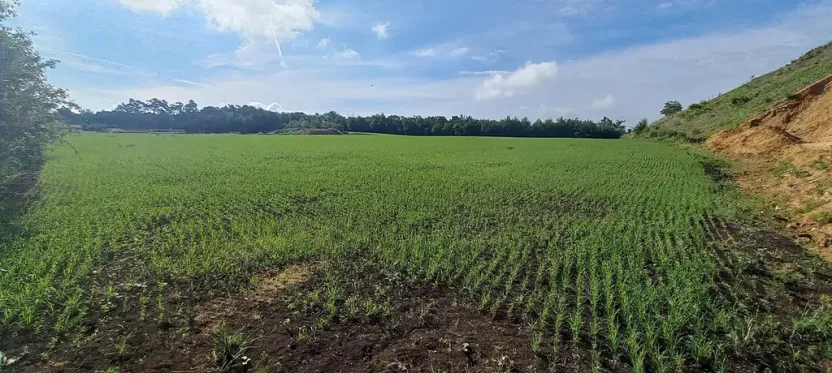 Pronájem komerčního pozemku, Kosoř, 16090 m2