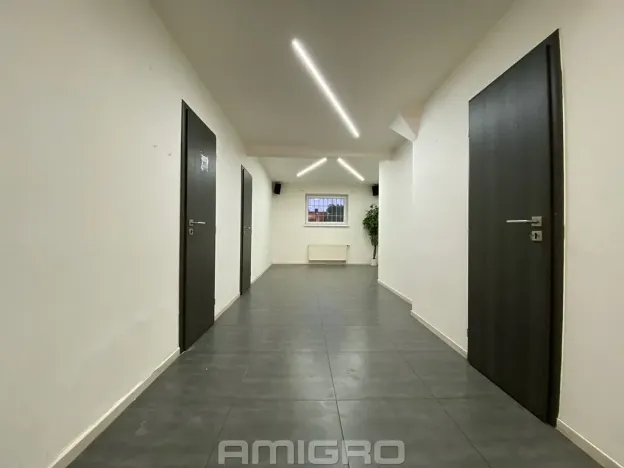 Pronájem obchodního prostoru, Brno, Merhautova, 56 m2