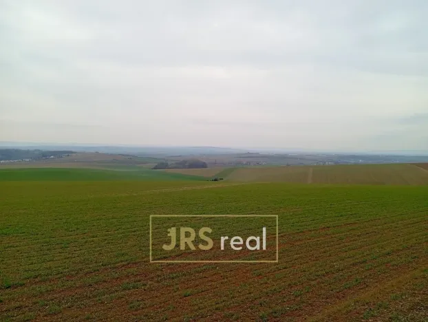 Prodej pole, Mokrá-Horákov, 2507 m2