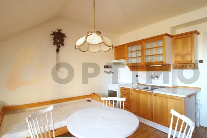 Prodej bytu 1+1, Praha - Žižkov, Na Balkáně, 69 m2