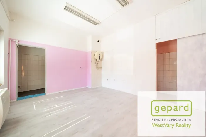 Prodej rodinného domu, Kynšperk nad Ohří, Jana Nerudy, 260 m2