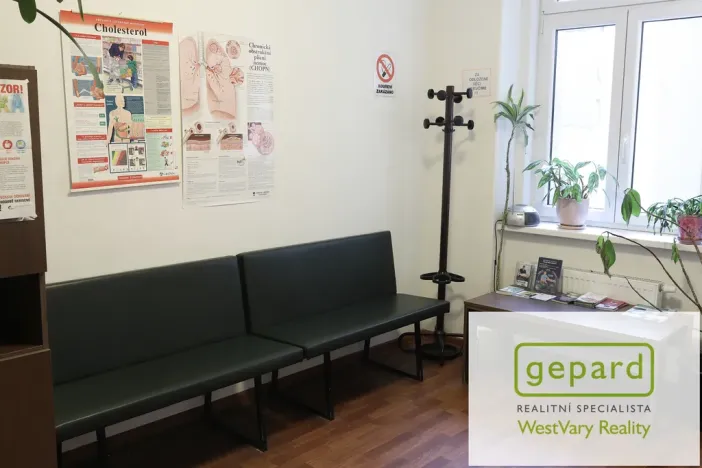 Pronájem obchodního prostoru, Karlovy Vary, Moskevská, 66 m2