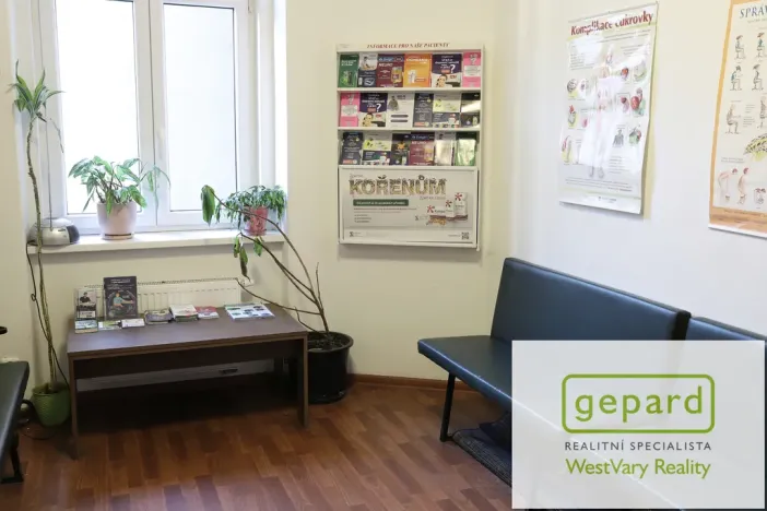 Pronájem obchodního prostoru, Karlovy Vary, Moskevská, 66 m2