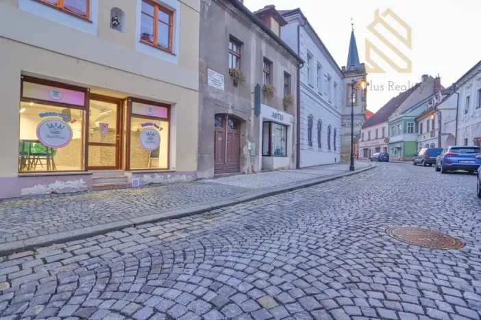 Pronájem obchodního prostoru, Louny, Pivovarská, 55 m2