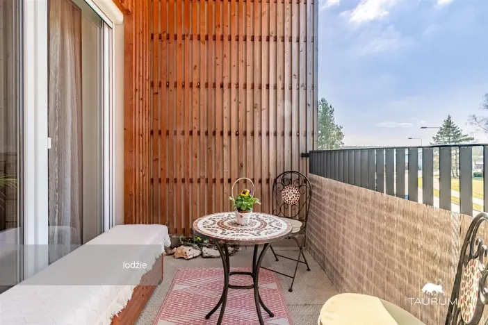 Prodej bytu 2+kk, Plzeň - Valcha, Špačková, 56 m2