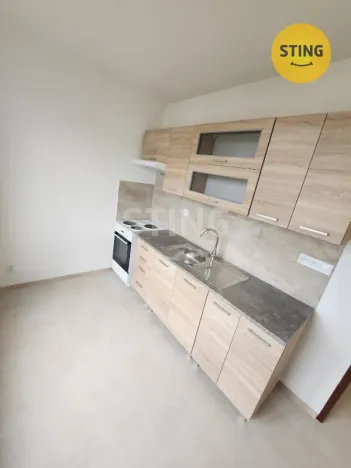 Pronájem bytu 2+1, Přerov, nábř. Protifašistických bojovníků, 50 m2