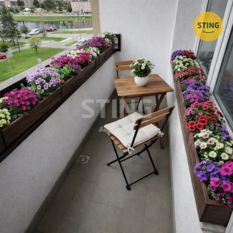 Pronájem bytu 2+1, Přerov, nábř. Protifašistických bojovníků, 50 m2