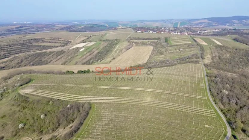 Prodej sadu/vinice, Němčičky, 11748 m2