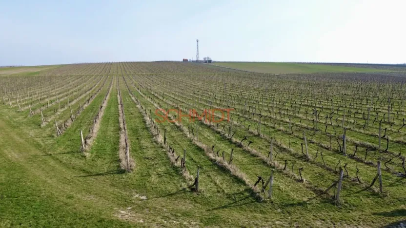 Prodej sadu/vinice, Němčičky, 11748 m2