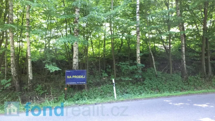 Prodej pozemku, Dolní Dobrouč, 4634 m2