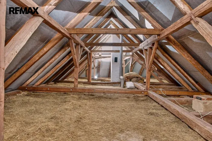 Prodej zemědělské usedlosti, Drhovle - Pamětice, 160 m2