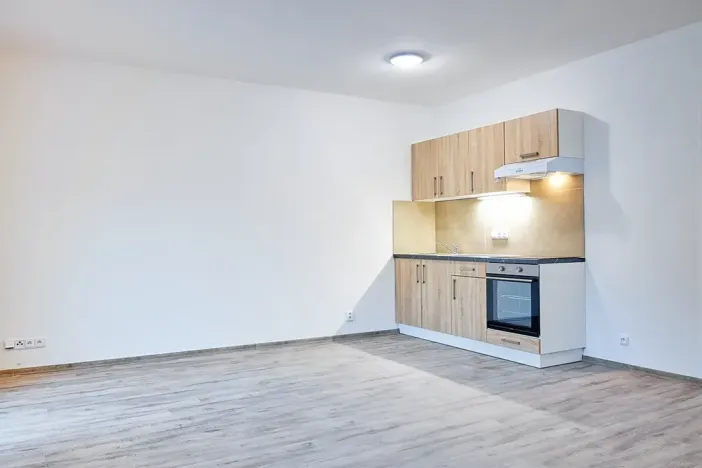 Pronájem bytu 1+kk, Plzeň, Rejskova, 38 m2