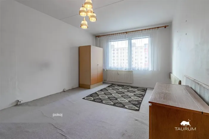 Prodej bytu 1+1, Plzeň - Severní Předměstí, Hodonínská, 47 m2