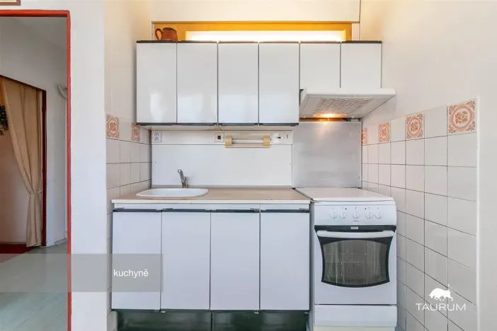 Prodej bytu 1+1, Plzeň - Severní Předměstí, Hodonínská, 47 m2