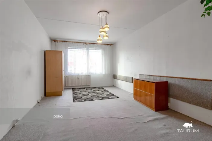 Prodej bytu 1+1, Plzeň - Severní Předměstí, Hodonínská, 47 m2