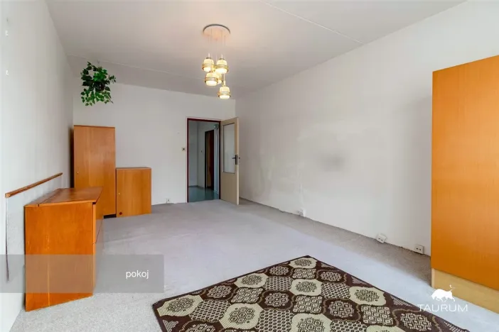 Prodej bytu 1+1, Plzeň - Severní Předměstí, Hodonínská, 47 m2