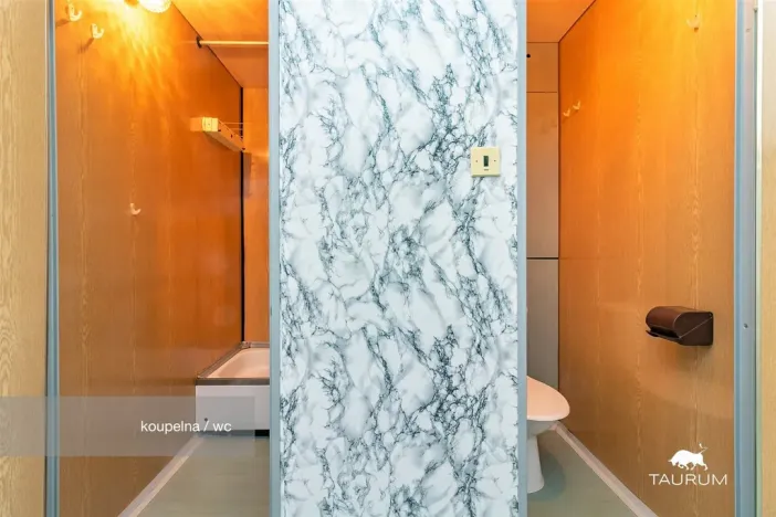 Prodej bytu 1+1, Plzeň - Severní Předměstí, Hodonínská, 47 m2