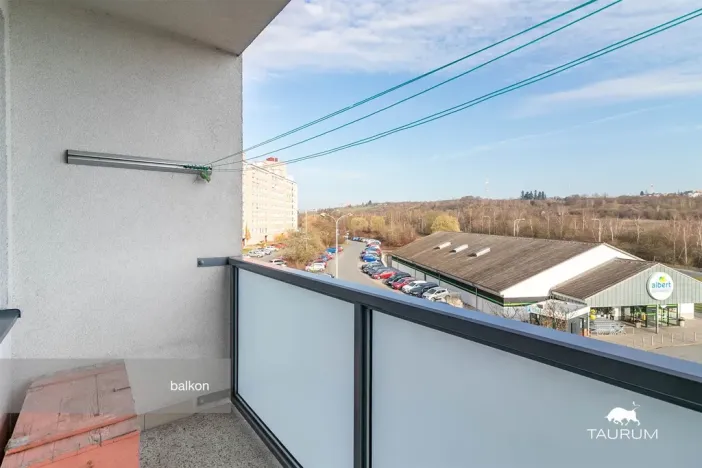 Prodej bytu 1+1, Plzeň - Severní Předměstí, Hodonínská, 47 m2